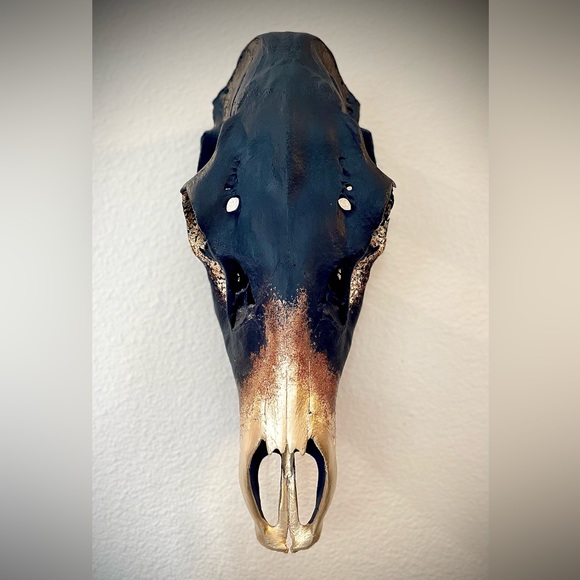 💀✨ hand painted cow elk skull - Picture 5 of 7